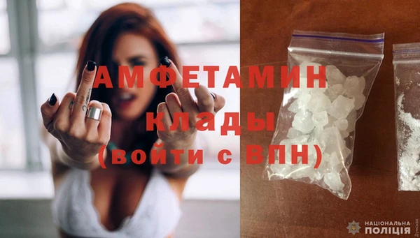 шишки Белоозёрский