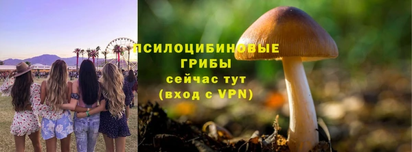 кокаин Белокуриха