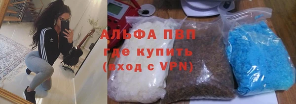 шишки Белоозёрский