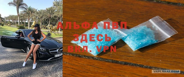 шишки Белоозёрский