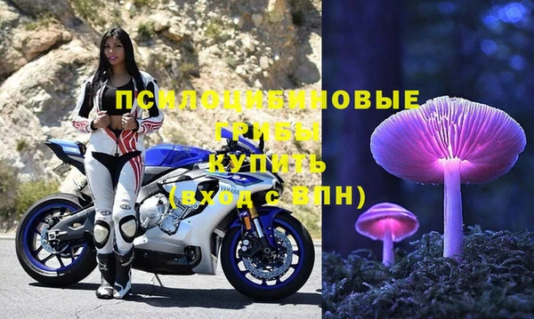 кокаин Белокуриха
