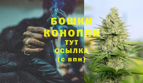 кокаин Белокуриха