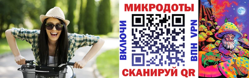 купить наркотики сайты  гидра сайт  Галлюциногенные грибы Psilocybine cubensis  Высоковск 